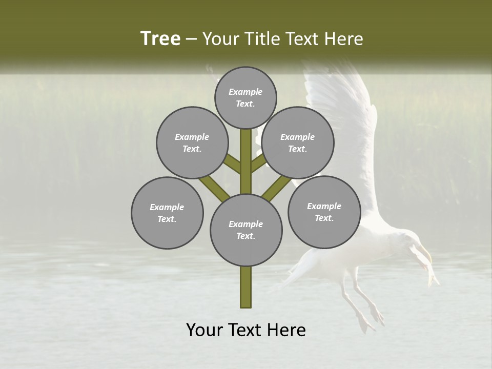 A White Bird Flying Over A Body Of Water PowerPoint Template