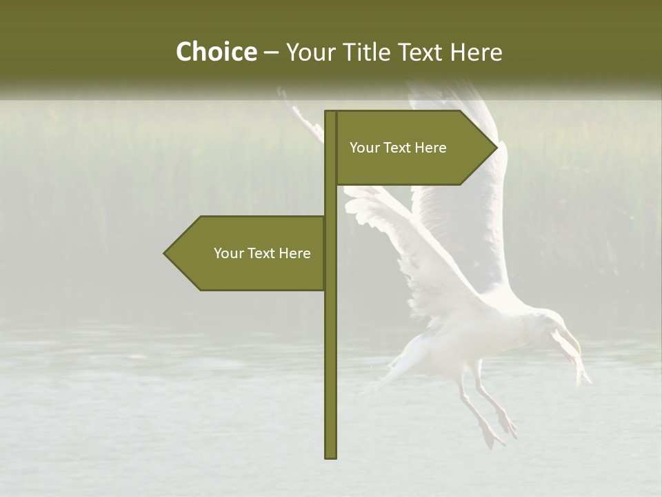 A White Bird Flying Over A Body Of Water PowerPoint Template