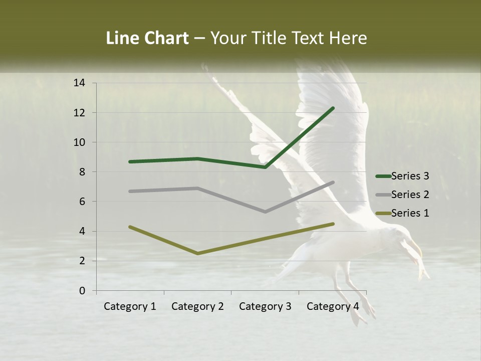 A White Bird Flying Over A Body Of Water PowerPoint Template