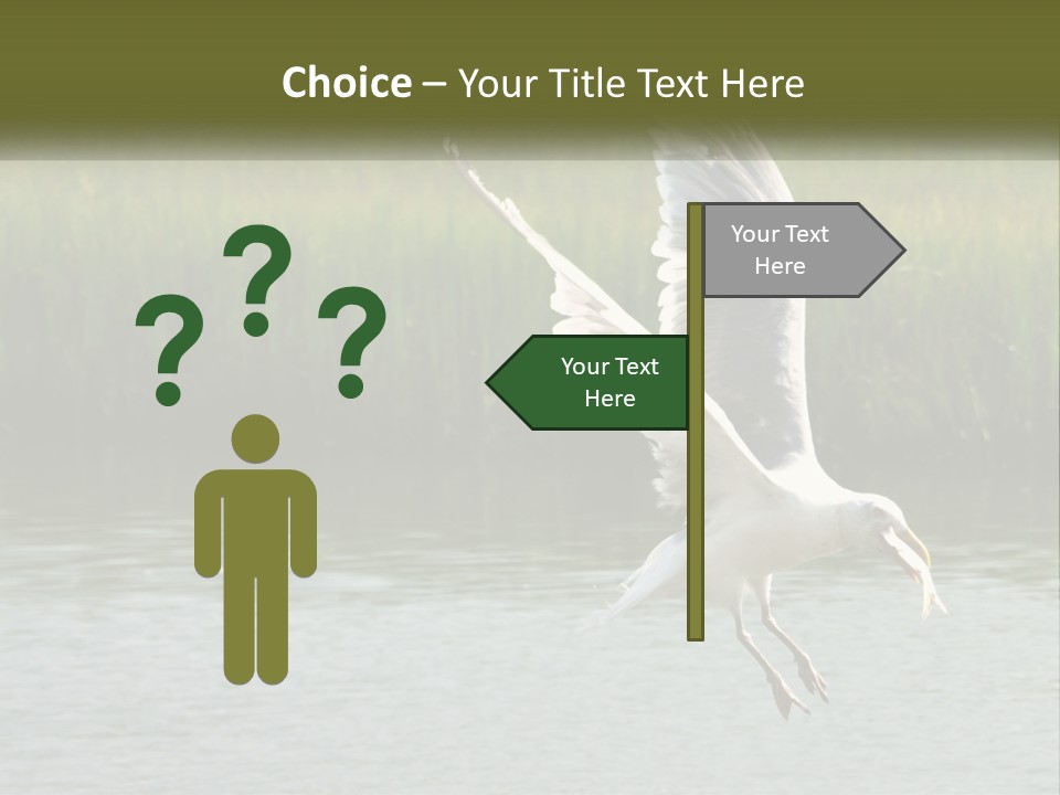 A White Bird Flying Over A Body Of Water PowerPoint Template