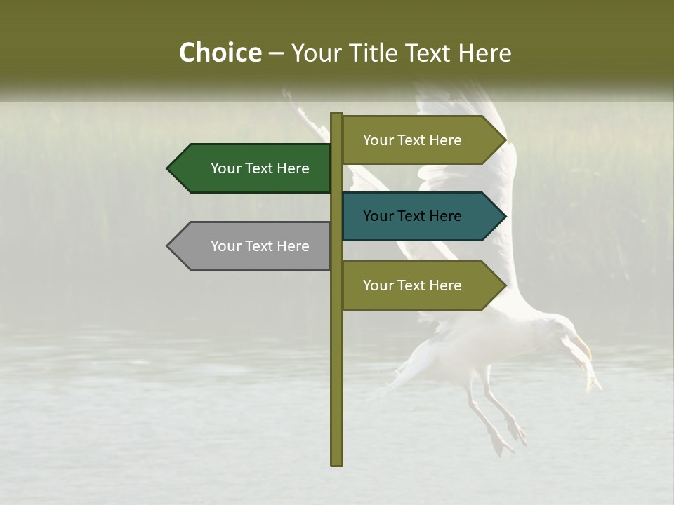 A White Bird Flying Over A Body Of Water PowerPoint Template