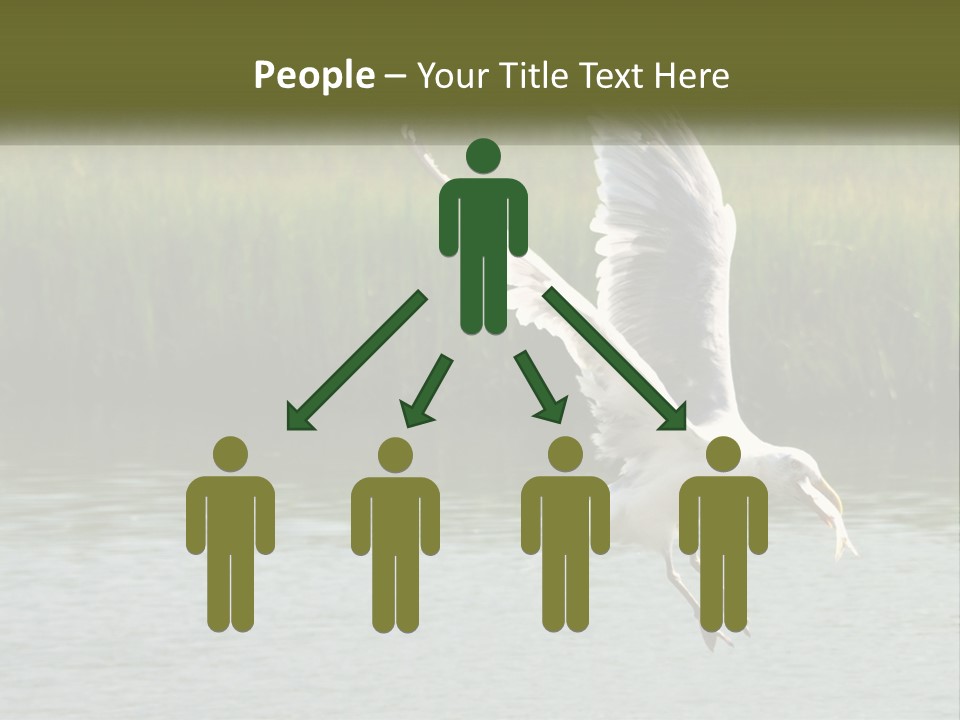 A White Bird Flying Over A Body Of Water PowerPoint Template