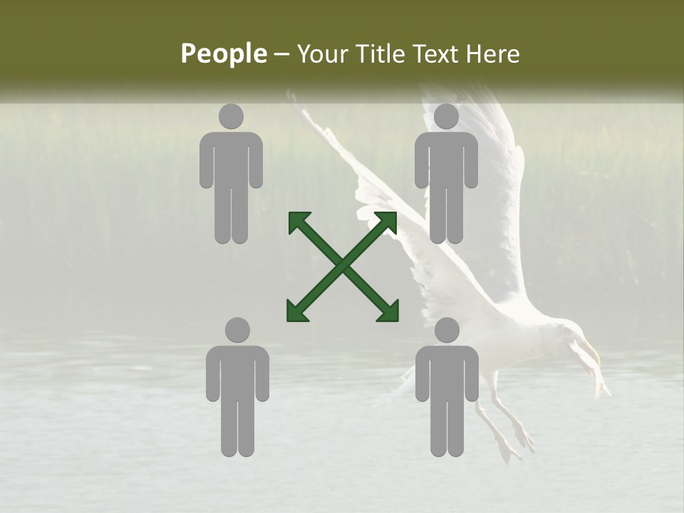 A White Bird Flying Over A Body Of Water PowerPoint Template