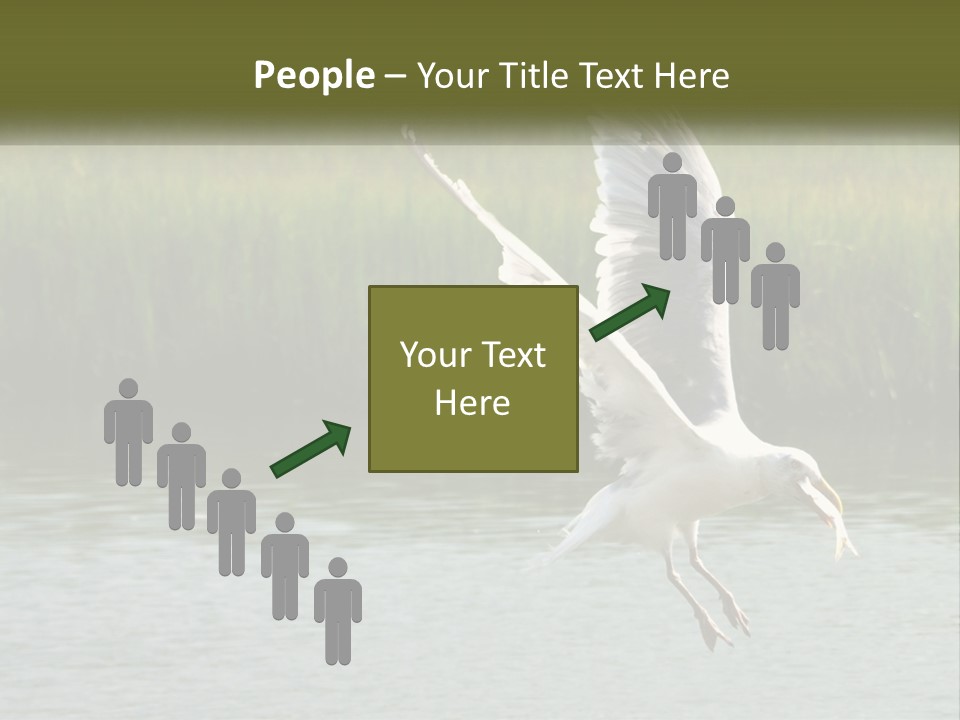 A White Bird Flying Over A Body Of Water PowerPoint Template