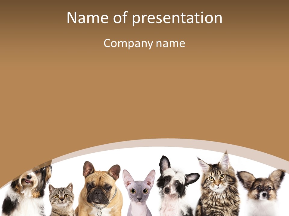 A Group Of Cats And Dogs Are Standing Together PowerPoint Template