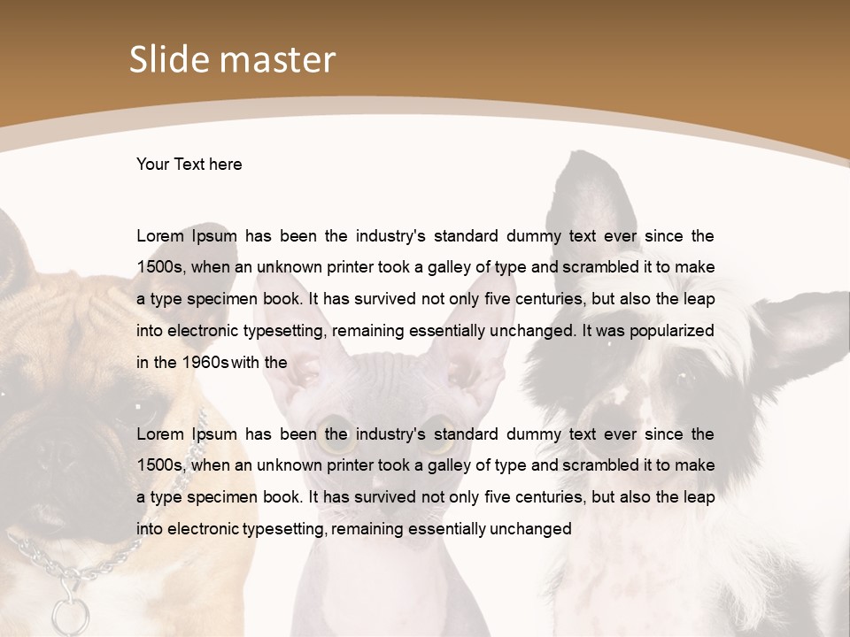 A Group Of Cats And Dogs Are Standing Together PowerPoint Template