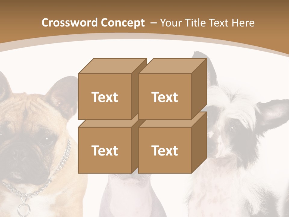 A Group Of Cats And Dogs Are Standing Together PowerPoint Template