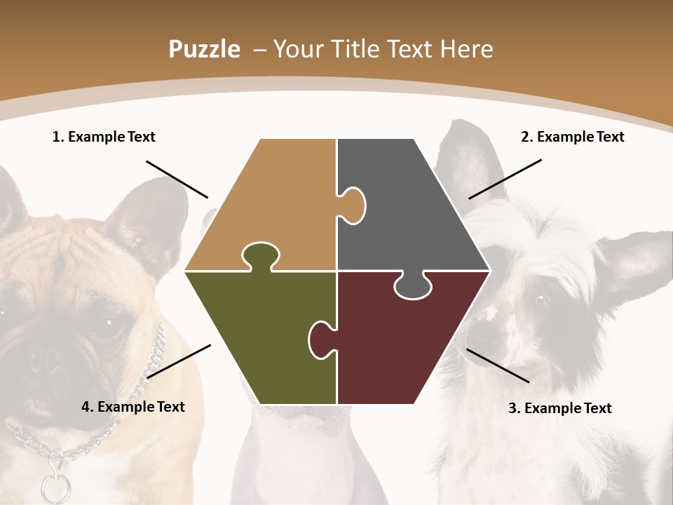 A Group Of Cats And Dogs Are Standing Together PowerPoint Template