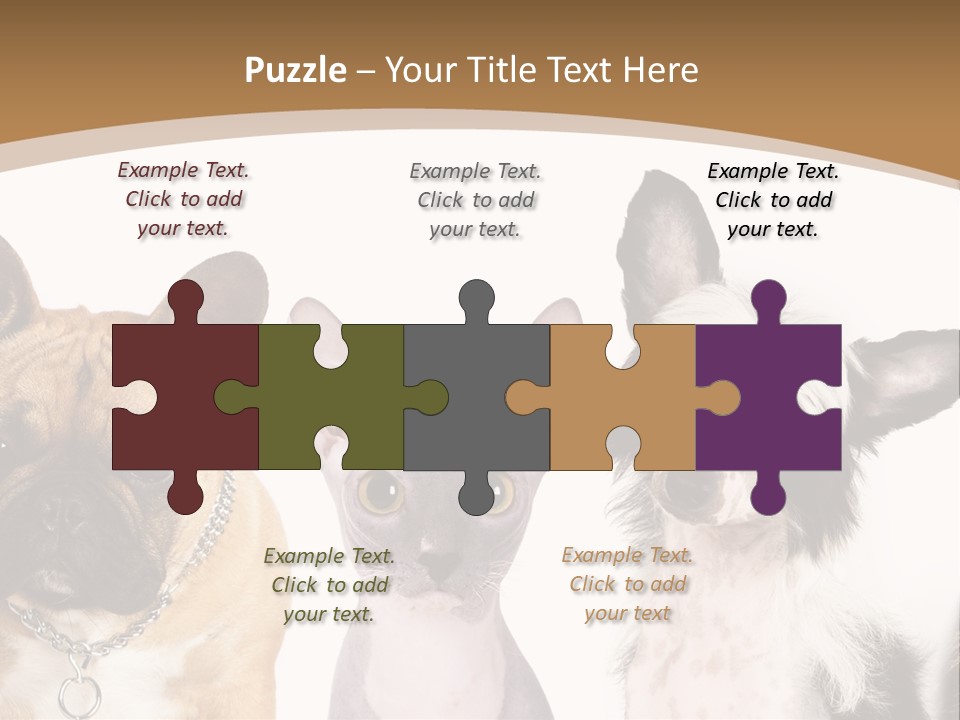 A Group Of Cats And Dogs Are Standing Together PowerPoint Template