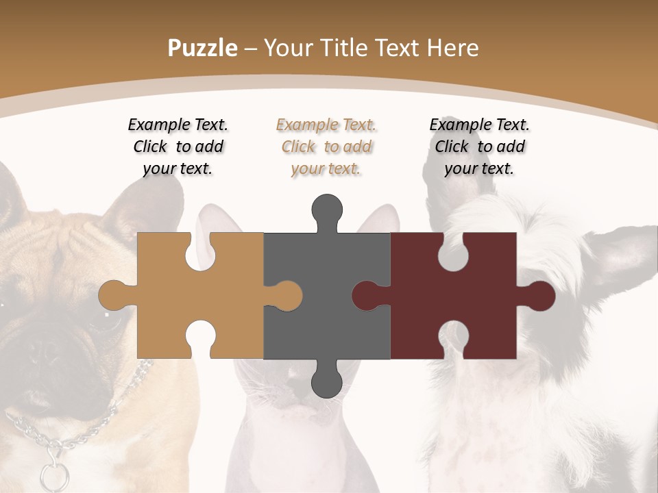 A Group Of Cats And Dogs Are Standing Together PowerPoint Template