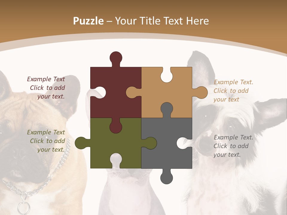 A Group Of Cats And Dogs Are Standing Together PowerPoint Template