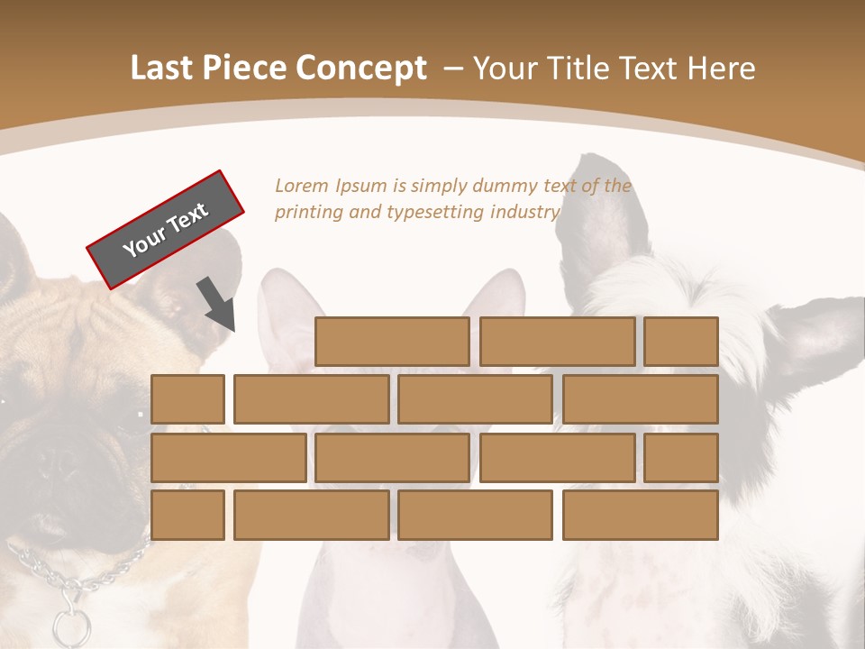 A Group Of Cats And Dogs Are Standing Together PowerPoint Template