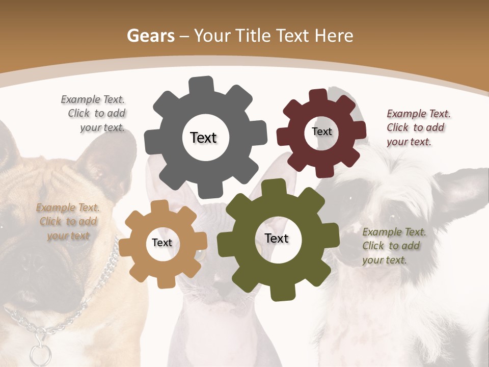 A Group Of Cats And Dogs Are Standing Together PowerPoint Template