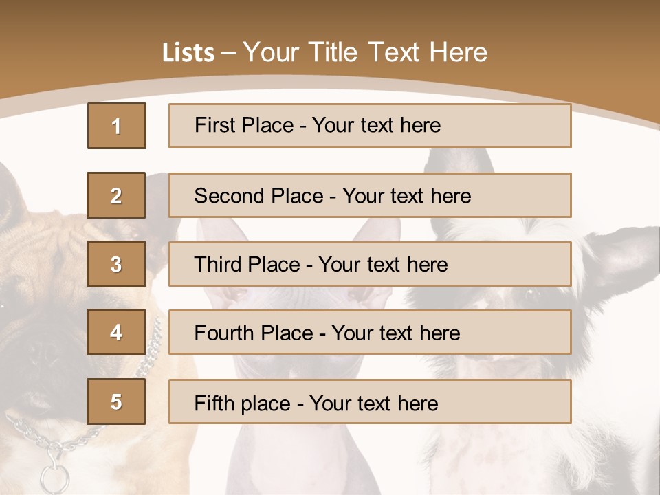 A Group Of Cats And Dogs Are Standing Together PowerPoint Template