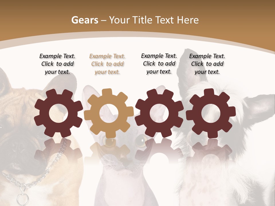 A Group Of Cats And Dogs Are Standing Together PowerPoint Template