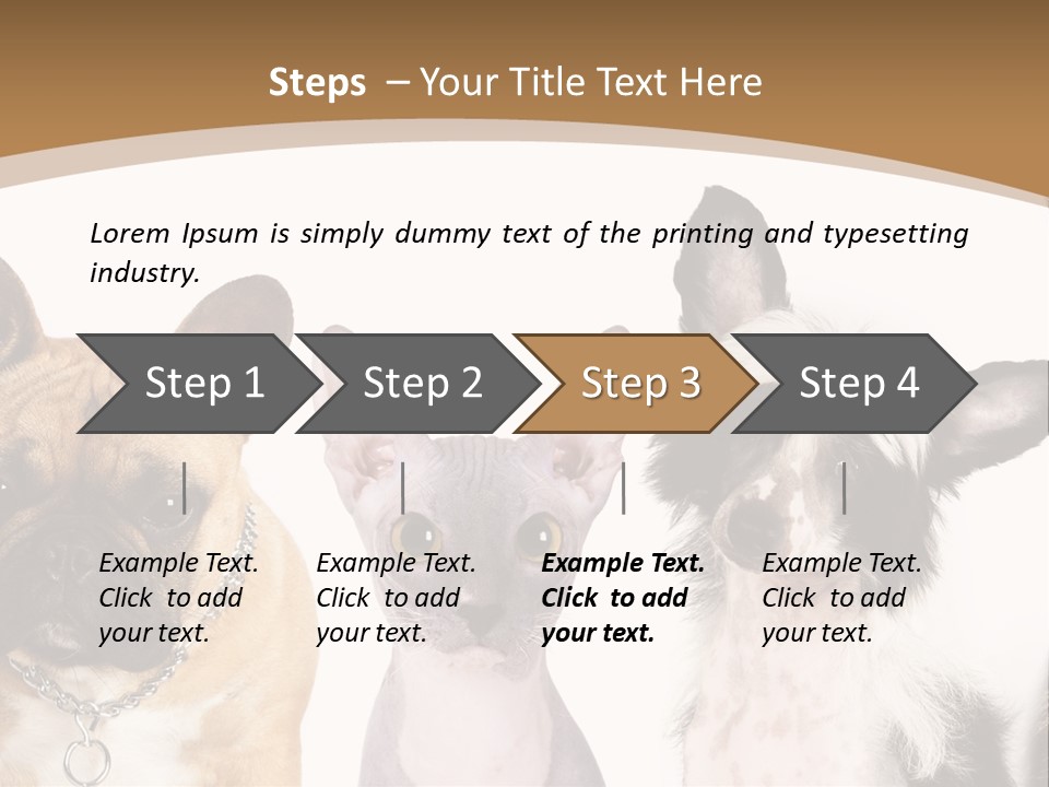 A Group Of Cats And Dogs Are Standing Together PowerPoint Template