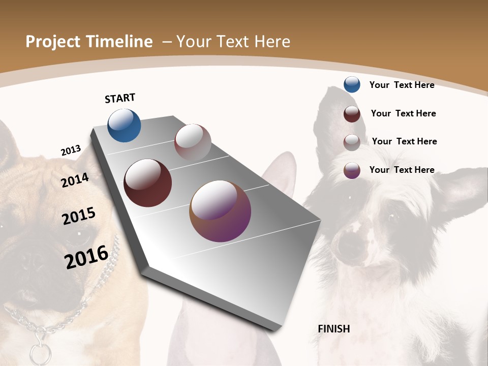 A Group Of Cats And Dogs Are Standing Together PowerPoint Template