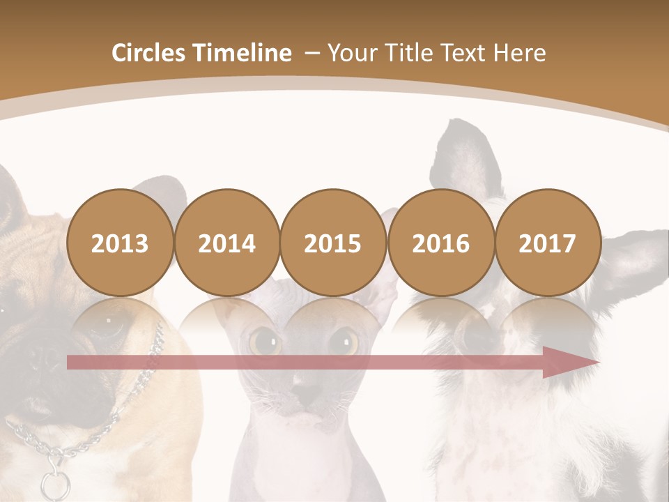 A Group Of Cats And Dogs Are Standing Together PowerPoint Template