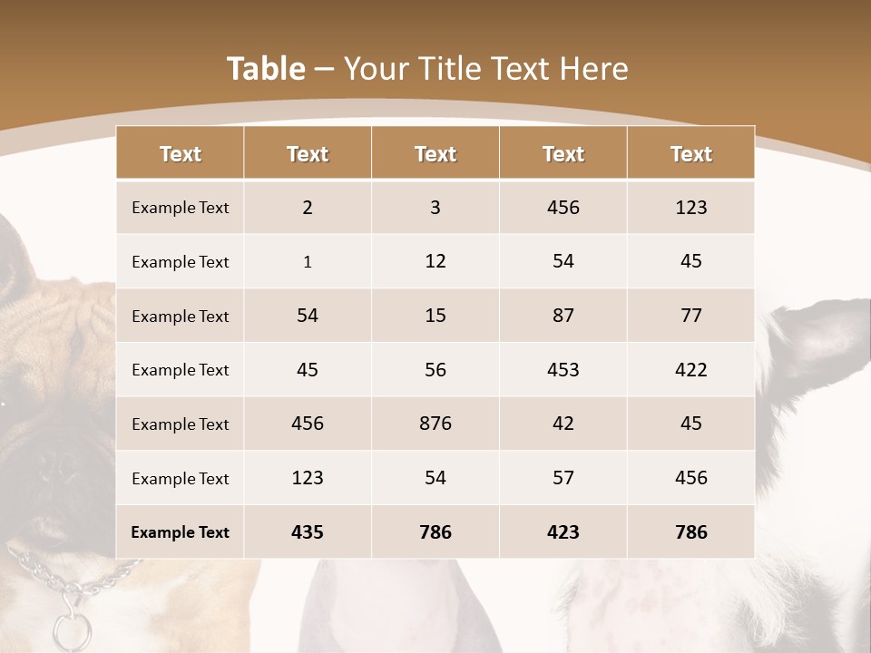 A Group Of Cats And Dogs Are Standing Together PowerPoint Template