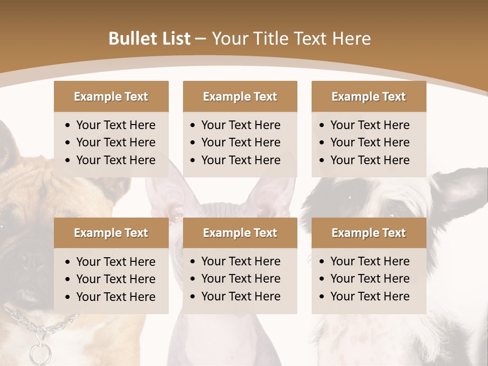 A Group Of Cats And Dogs Are Standing Together PowerPoint Template