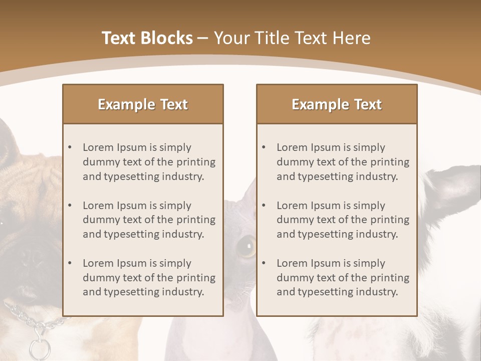 A Group Of Cats And Dogs Are Standing Together PowerPoint Template