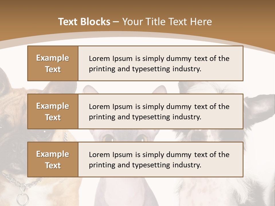 A Group Of Cats And Dogs Are Standing Together PowerPoint Template