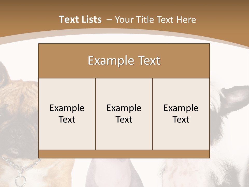 A Group Of Cats And Dogs Are Standing Together PowerPoint Template