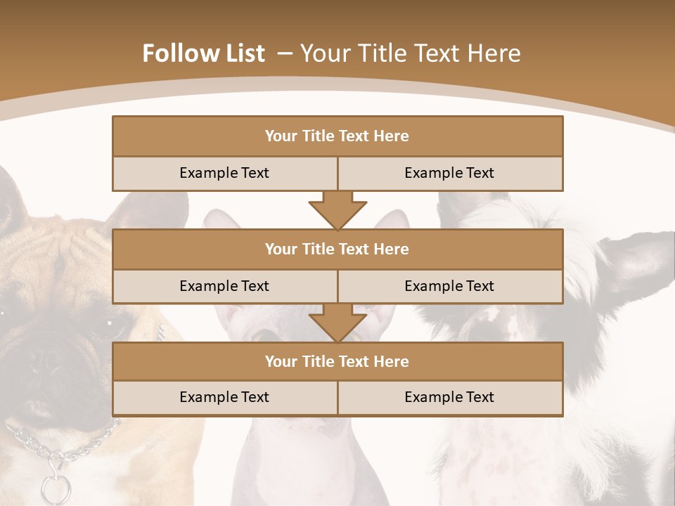 A Group Of Cats And Dogs Are Standing Together PowerPoint Template