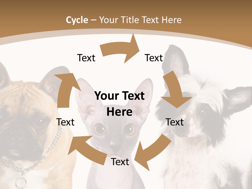 A Group Of Cats And Dogs Are Standing Together PowerPoint Template