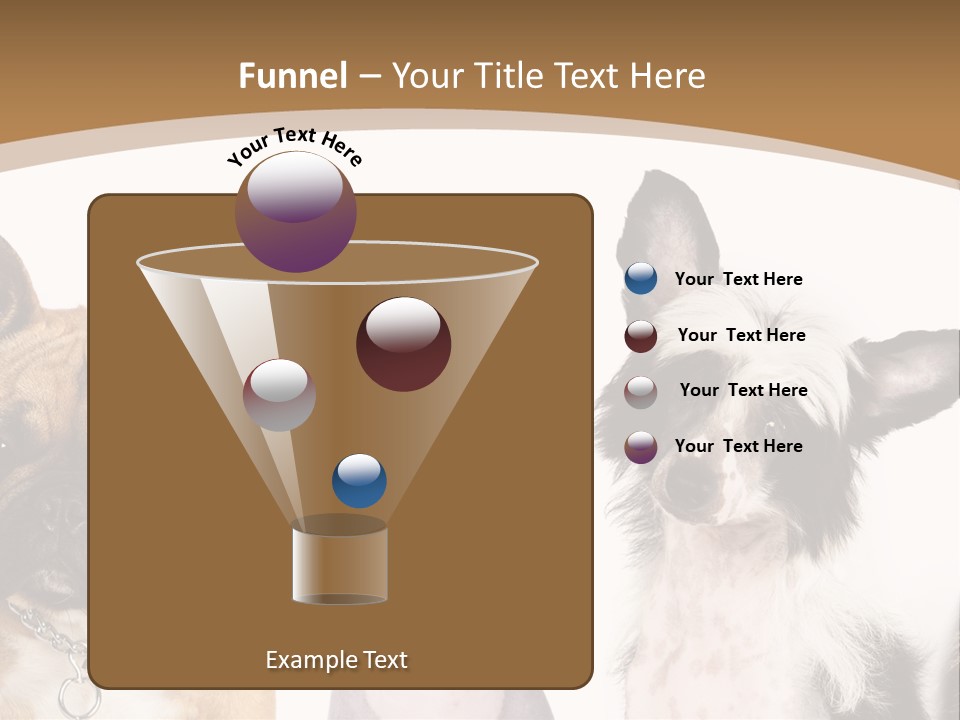 A Group Of Cats And Dogs Are Standing Together PowerPoint Template