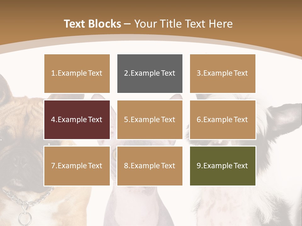 A Group Of Cats And Dogs Are Standing Together PowerPoint Template