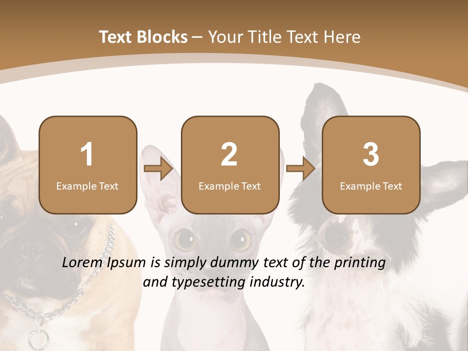 A Group Of Cats And Dogs Are Standing Together PowerPoint Template