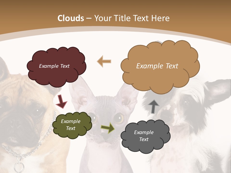 A Group Of Cats And Dogs Are Standing Together PowerPoint Template