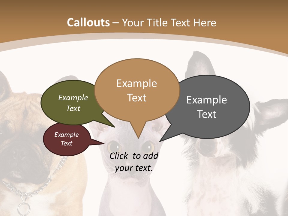 A Group Of Cats And Dogs Are Standing Together PowerPoint Template