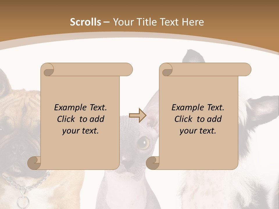 A Group Of Cats And Dogs Are Standing Together PowerPoint Template