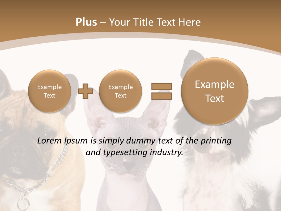 A Group Of Cats And Dogs Are Standing Together PowerPoint Template