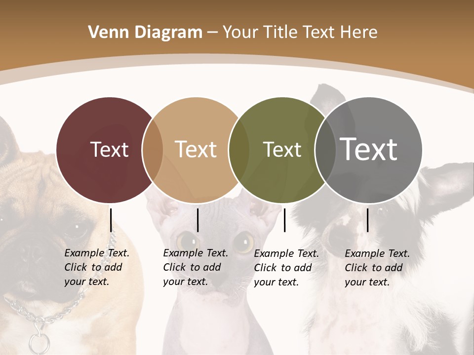 A Group Of Cats And Dogs Are Standing Together PowerPoint Template