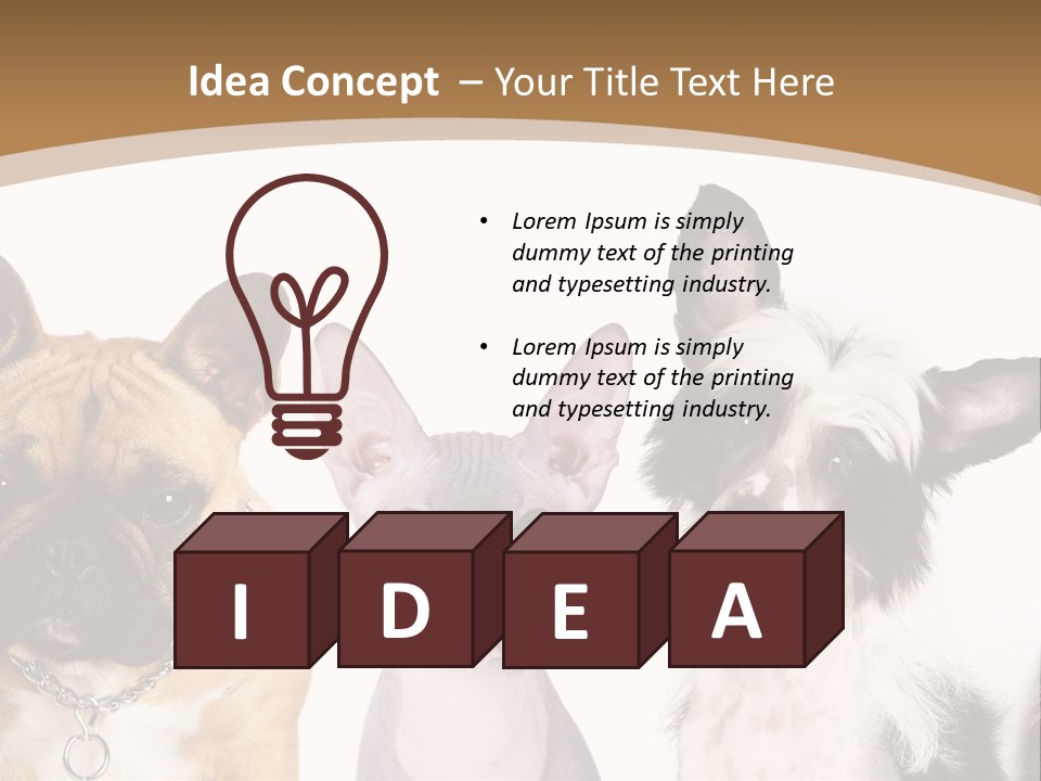 A Group Of Cats And Dogs Are Standing Together PowerPoint Template