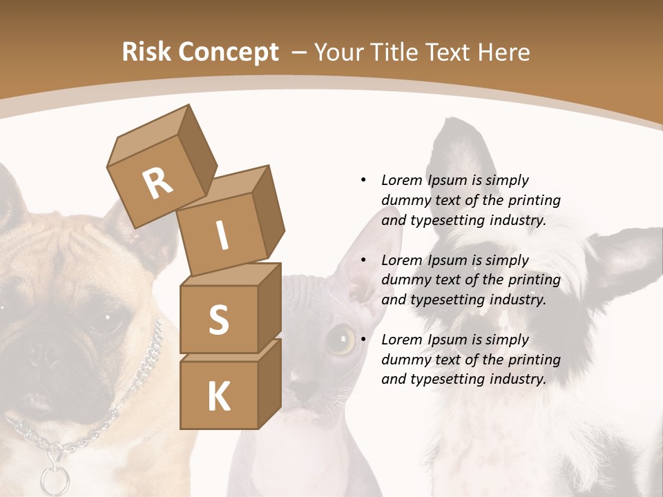 A Group Of Cats And Dogs Are Standing Together PowerPoint Template