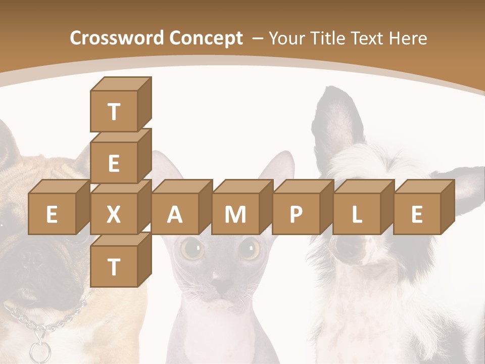 A Group Of Cats And Dogs Are Standing Together PowerPoint Template