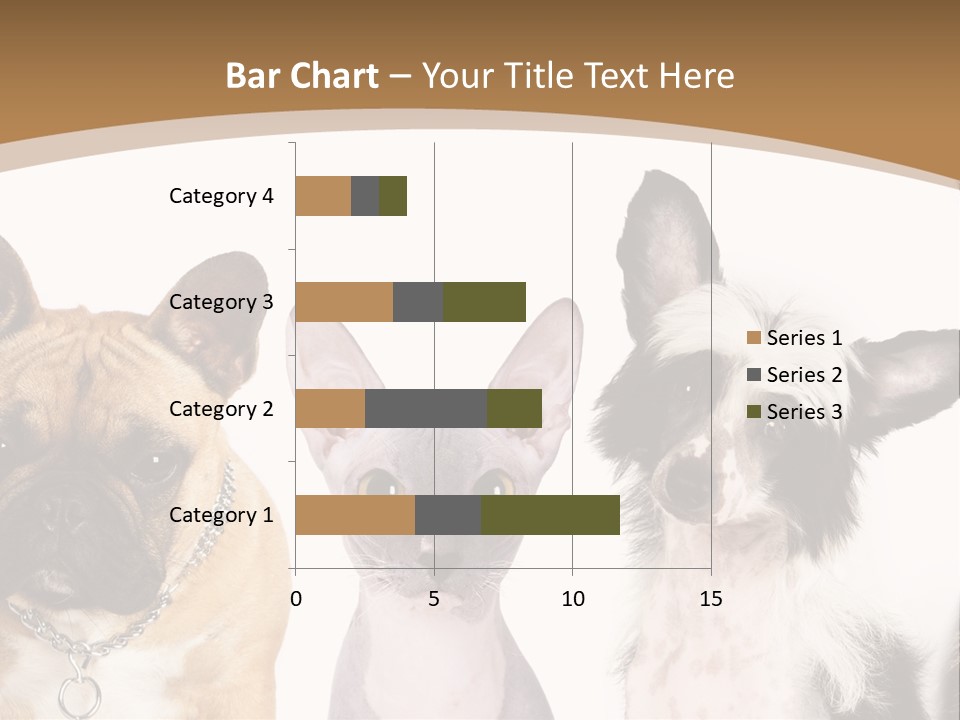 A Group Of Cats And Dogs Are Standing Together PowerPoint Template