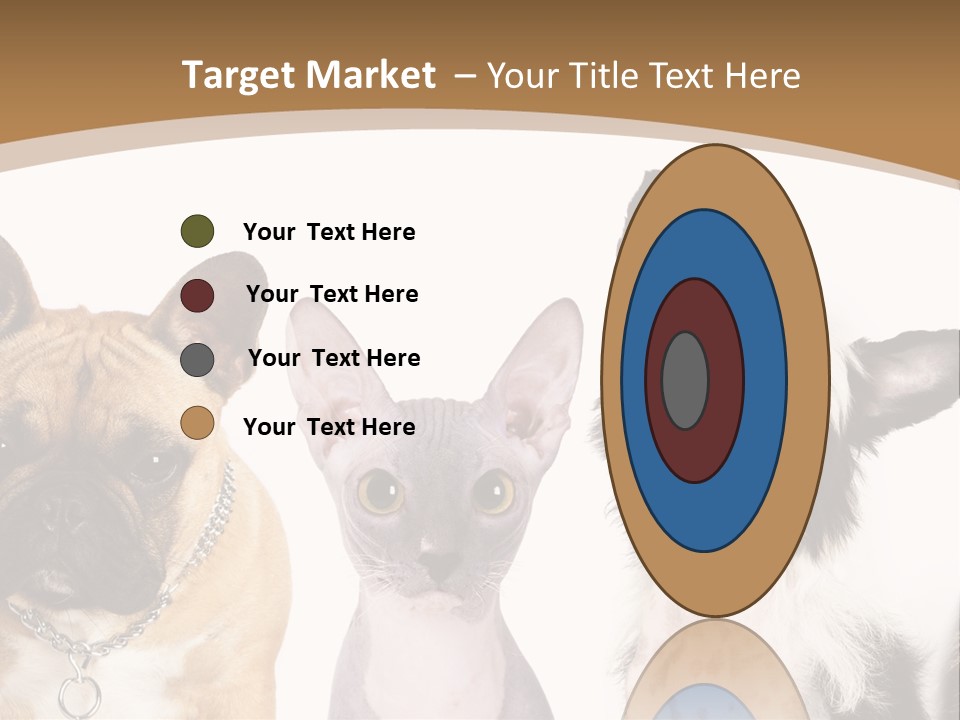 A Group Of Cats And Dogs Are Standing Together PowerPoint Template