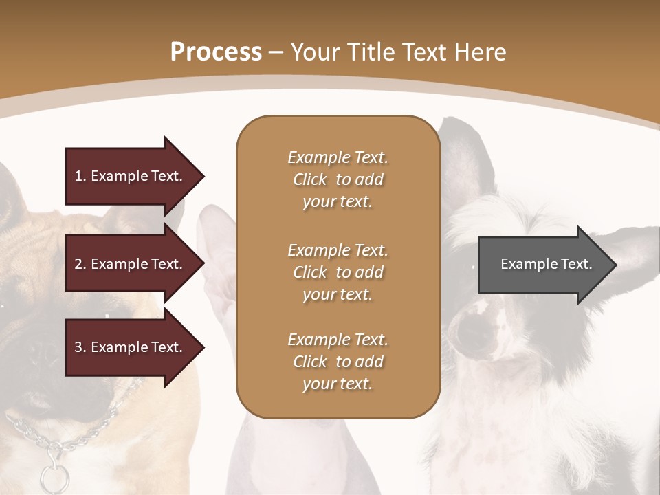 A Group Of Cats And Dogs Are Standing Together PowerPoint Template