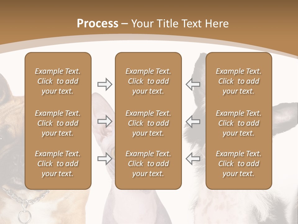 A Group Of Cats And Dogs Are Standing Together PowerPoint Template