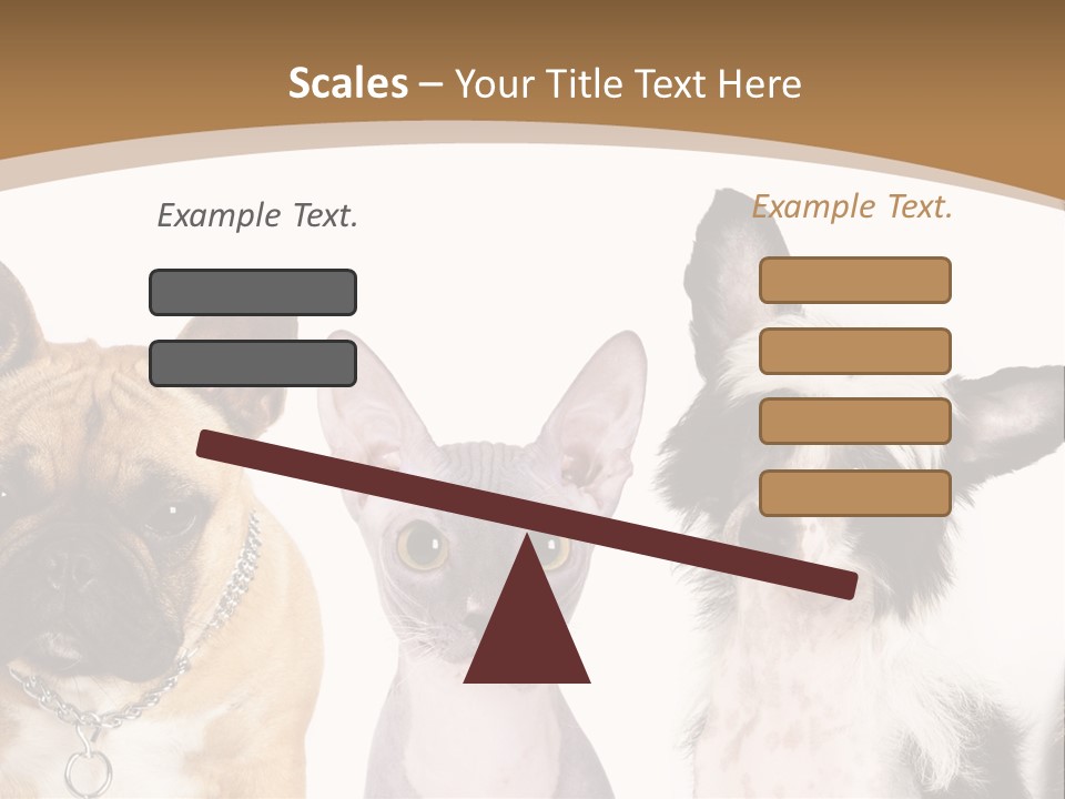 A Group Of Cats And Dogs Are Standing Together PowerPoint Template