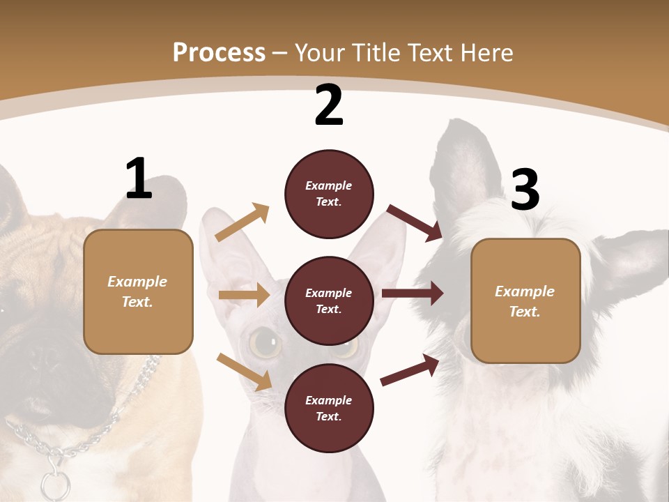 A Group Of Cats And Dogs Are Standing Together PowerPoint Template