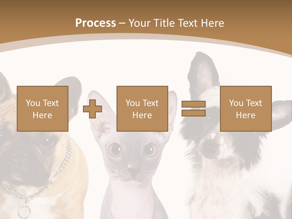 A Group Of Cats And Dogs Are Standing Together PowerPoint Template