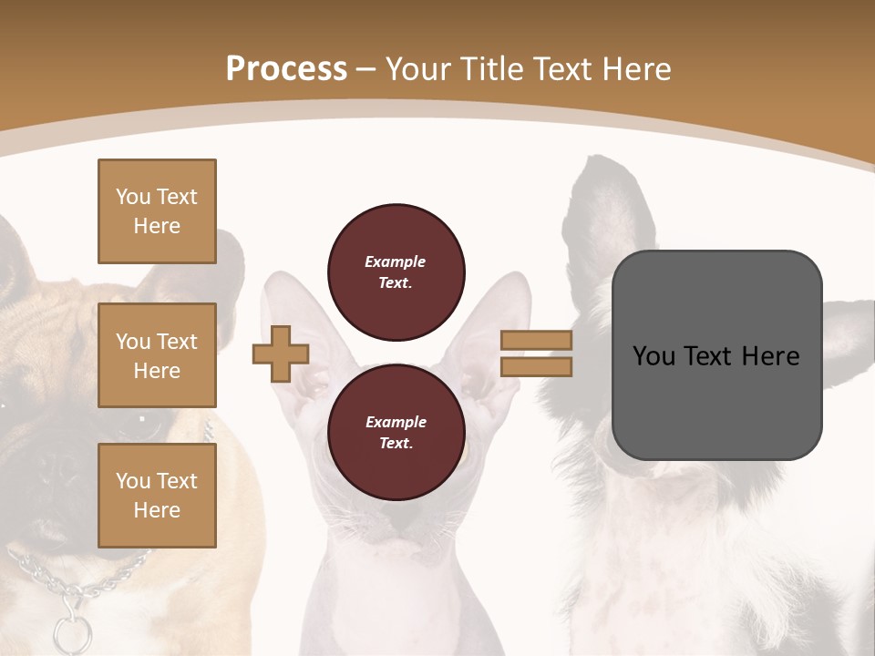 A Group Of Cats And Dogs Are Standing Together PowerPoint Template
