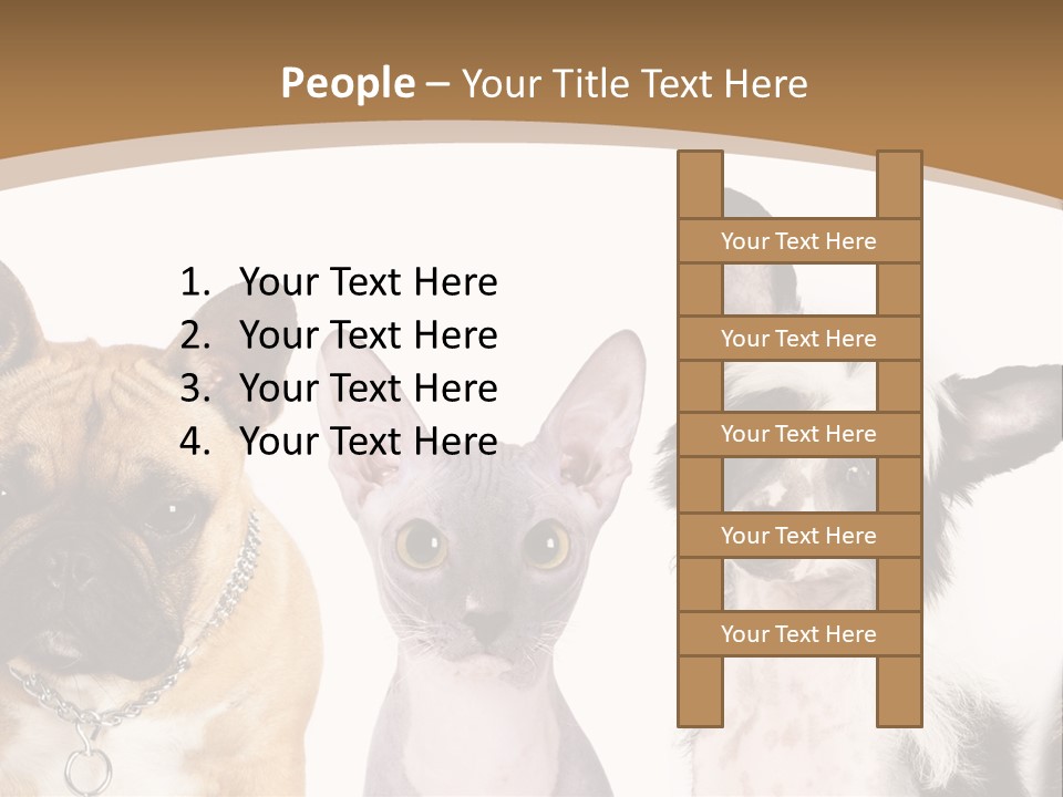 A Group Of Cats And Dogs Are Standing Together PowerPoint Template