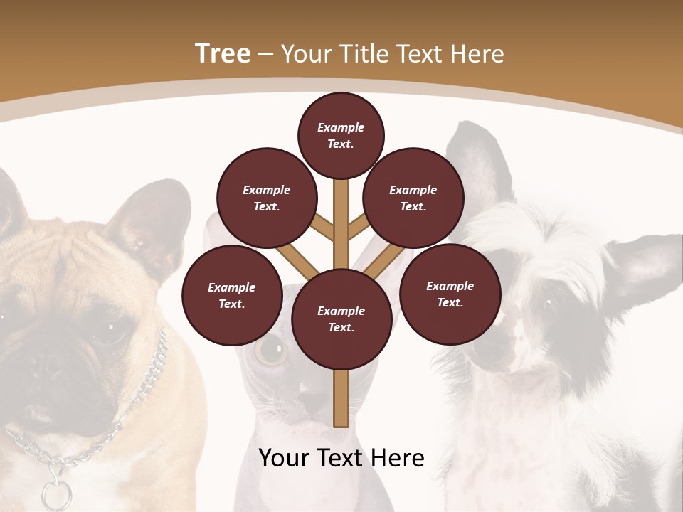 A Group Of Cats And Dogs Are Standing Together PowerPoint Template